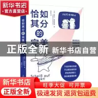 正版 恰如其分的完美 [德]斯特凡·德德里希斯 人民邮电出版社 97