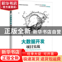 正版 大数据开发项目实战 祝锡永,张良均主编 人民邮电出版社 97