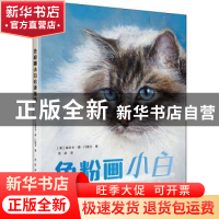 正版 色粉画小白必读指南 (英)丽贝卡·德·门德卡著 科学普及出版