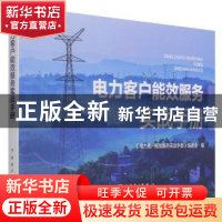 正版 电力客户能效服务实战手册 《电力客户能效服务实战手册》编