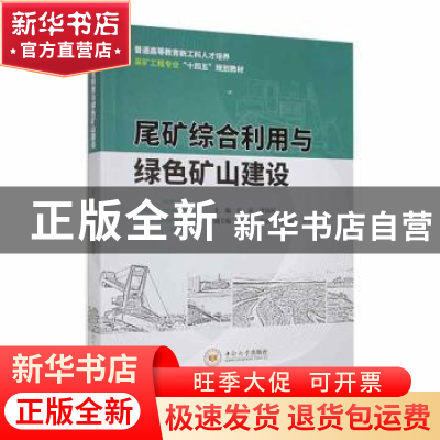 正版 尾矿综合利用与绿色矿山建设 彭康,满慎刚主编 中南大学出