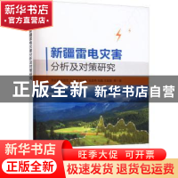 正版 新疆雷电灾害分析及对策研究 陈金根等著 气象出版社 978750