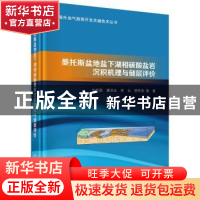 正版 桑托斯盆地盐下湖相碳酸盐岩沉积机理与储层评价 文华国 科