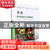 正版 蛋鸡实用养殖技术与疾病防治 何航,罗永莉,向邦全主编 合