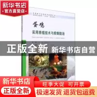 正版 蛋鸡实用养殖技术与疾病防治 何航,罗永莉,向邦全主编 合