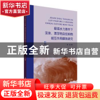 正版 极端水力条件下流体漂浮物及结构物相互作用模拟研究 熊焱著