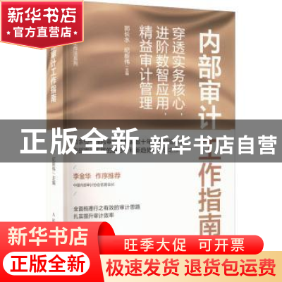 正版 内部审计工作指南:穿透实务核心,进阶数智应用,精益审计管