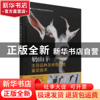 正版 奶山羊主导品种及体型外貌鉴定技术(精) 赵启南 中国农业出