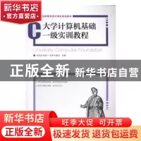 正版 大学计算机基础一级实训教程 沈凤仙,刘定一,王峰 等 人民邮
