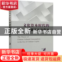 正版 文化资本时代的中国文化消费论 徐望著 江苏人民出版社 9787
