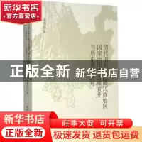 正版 清代滇东南边疆民族地区国家治理的区域演进与历史进程研究