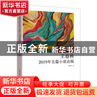 正版 王春林2019年长篇小说论稿 王春林著 陕西师范大学出版总社