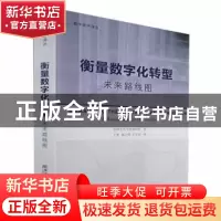 正版 衡量数字化转型:未来路线图:a roadmap for the future 经济