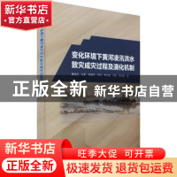 正版 变化环境下黄河凌汛洪水致灾成灾过程及演化机制 冀鸿兰//