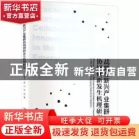 正版 战略性新兴产业集群协同创新发生机理研究 张敬文 经济管理