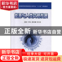 正版 能源与人类文明发展 王树众主编 西安交通大学出版社 978756