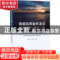 正版 海底沉积底形及其演化机制与海洋工程 庄振业,杨顺良 海洋出