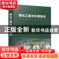 正版 煤化工废水处理技术 杨林 主编 马宝岐、秦志伟、王柱祥