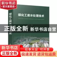 正版 煤化工废水处理技术 杨林 主编 马宝岐、秦志伟、王柱祥