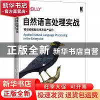 正版 自然语言处理实战:预训练模型应用及其产品化 (美)安库·A.