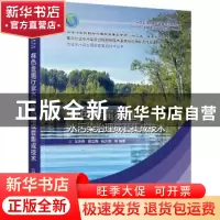 正版 有色金属行业水污染治理成套集成技术 王庆伟 化学工业出版