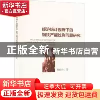 正版 经济统计视野下的钢铁产能过剩问题研究 贾帅帅 经济科学出