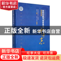 正版 湖南省图书情报事业十年志(2009-2018)(公共图书馆篇)