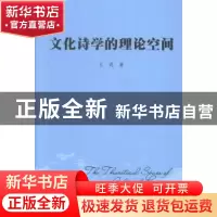 正版 文化诗学的理论空间 王进著 暨南大学出版社 9787566810854