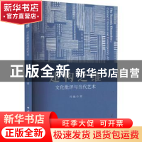 正版 建构之维:文化批评与当代艺术 冯巍著 中国文联出版社 9787
