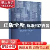 正版 建构之维:文化批评与当代艺术 冯巍著 中国文联出版社 9787