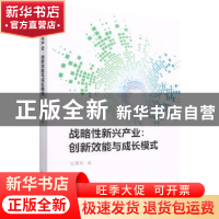 正版 战略性新兴产业:创新效能与成长模式 张冀新著 经济科学出