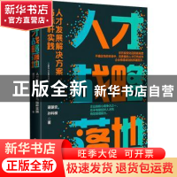 正版 人才战略落地:人才发展解决方案与标杆实践 蒋朝安 电子工业