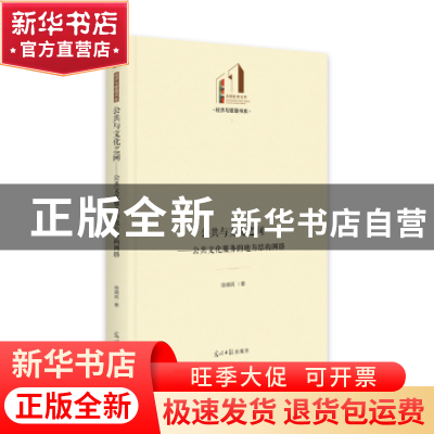 正版 公共与文化之间:公共文化服务的地方结构网络 徐靖芮 光明日