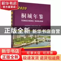 正版 桐城年鉴2020 中共桐城市委党史和地方志研究室编 中共党史