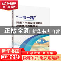 正版 “一带一路”背景下中国企业国际化战略转型升级研究 袁政慧