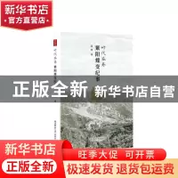 正版 时代答卷:紫阳蝶变纪事 高鸿著 陕西师范大学出版总社 97875