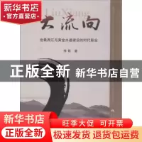 正版 大流向:沧桑西江与黄金水道建设的时代际会 徐歌著 广西人