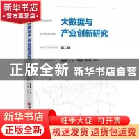 正版 大数据与产业创新研究::第二辑: 丛颖男,马思宇,姚璐 中