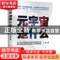 正版 元宇宙是什么 王磊著 中华工商联合出版社 9787515834054 书