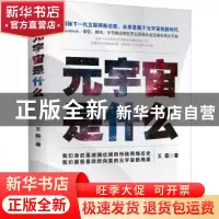 正版 元宇宙是什么 王磊著 中华工商联合出版社 9787515834054 书