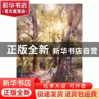 正版 水彩光影魔法教程 [美]罗斯·爱汀,[美]蒂·简普森 人民邮电出