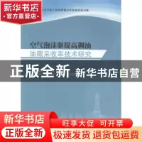 正版 空气泡沫驱提高稠油油藏采收率技术研究 李华斌 科学出版社