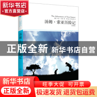 正版 汤姆·索亚历险记 [美]马克·吐温 贾文浩等 上海文艺出版社 9