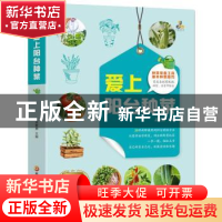 正版 爱上阳台种菜 孟繁勇 黑龙江科学技术出版社 9787571912826