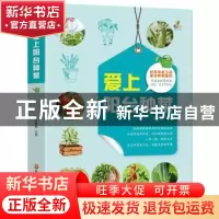 正版 爱上阳台种菜 孟繁勇 黑龙江科学技术出版社 9787571912826