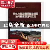 正版 柴达木盆地西部富油凹陷油气勘探理论与实践 杜金虎等著 石