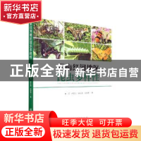 正版 云南红河地区昆虫多样性 作者:李巧//卢志兴//陈又清//武建