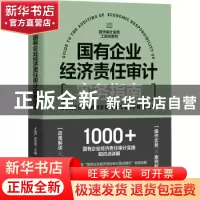 正版 国有企业经济责任审计实务指南 于维严,赵志新 人民邮电出