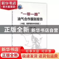 正版 “一带一路”油气合作国别报告:中亚、俄罗斯和中东地区 徐