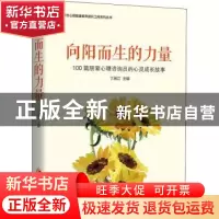 正版 向阳而生的力量:100篇朋辈心理咨询员的心灵成长故事 丁闽江